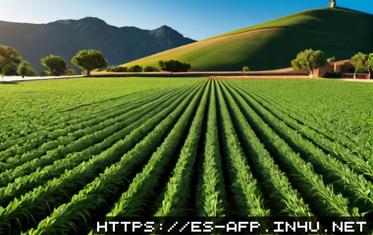 Dónde trabajar con una certificación AFP: sectores, empresas y criterios para elegir una buena oferta 4 AFP 자격증 보유자가 선호하는 직장 관련 이미지 2